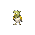 Spearow - X Y (Shiny)