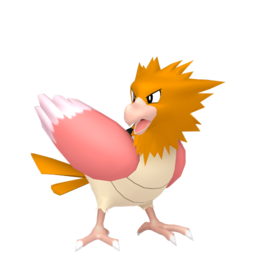 Spearow - Home
