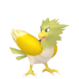 Spearow - Home