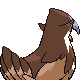 Staraptor - Diamond Pearl (Back View (Shiny))