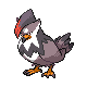 Staraptor - Diamond Pearl (Normal)