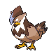 Staraptor - Diamond Pearl (Shiny)