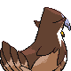 Staraptor - Platinum (Back View (Shiny))