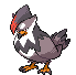 Staraptor - Black 2 White 2 Black White Animated (Normal)