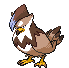 Staraptor - Black 2 White 2 Black White Animated (Shiny)