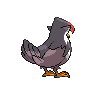 Staraptor - Black White (Back View)