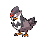 Staraptor - Black White (Normal)
