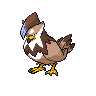 Staraptor - Black White (Shiny)