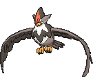 Staraptor - X Y (Normal)