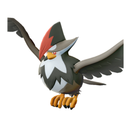 Staraptor - Legends_ Arceus