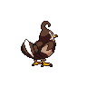 Staravia - Black White (Back View (Shiny))