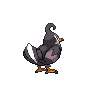 Staravia - Black White (Back View)
