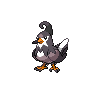 Staravia - Black White (Normal)