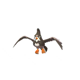Staravia - GO (Normal)