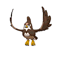 Staravia - Omega Ruby Alpha Sapphire (Shiny)
