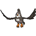 Staravia - X Y (Normal)