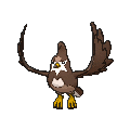 Staravia - X Y (Shiny)