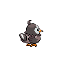 Starly - Black White (Back View)