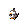 Starly - Black White (Normal)