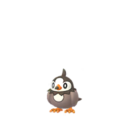 Starly - GO (Normal)