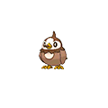 Starly - Omega Ruby Alpha Sapphire (Shiny)