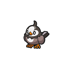 Starly - Brilliant Diamond Shining Pearl