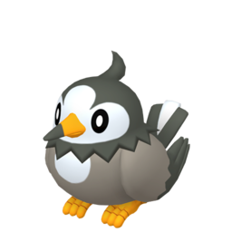 Starly - Home
