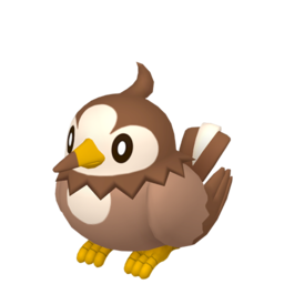 Starly - Home
