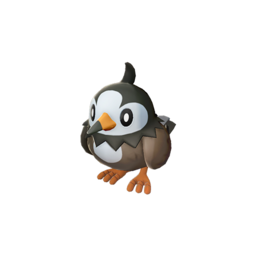 Starly - Legends_ Arceus