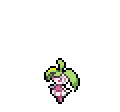 Steenee - Sword Shield