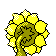 Sunflora - Crystal (Back View (Shiny))