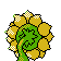Sunflora - Gold (Back View)