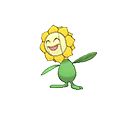 Sunflora - Bank