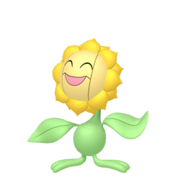 Sunflora - Home
