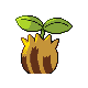 Sunkern - HeartGold SoulSilver (Back View (Shiny))