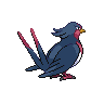 Swellow - Black White (Back View)