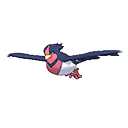 Swellow - Bank