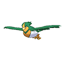 Swellow - Bank