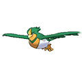Swellow - Omega Ruby Alpha Sapphire (Shiny)