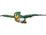 Swellow - X Y (Shiny)
