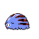 Swinub - Gold (Shiny)