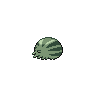 Swinub - Black White (Back View (Shiny))