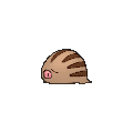Swinub - X Y (Normal)