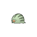 Swinub - X Y (Shiny)