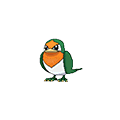 Taillow - Omega Ruby Alpha Sapphire (Shiny)