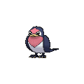 Taillow - X Y (Normal)