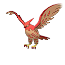 Talonflame - Bank (Shiny)