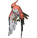 Talonflame - X Y (Normal)