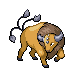 Tauros - Diamond Pearl (Normal)