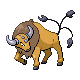 Tauros - HeartGold SoulSilver (Normal)